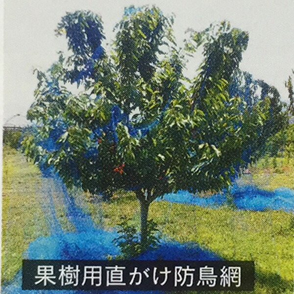 果樹用 直がけ 防鳥網 6×6m 20mm目 木に被せる防鳥網 直掛け 日MZ | 農業用品販売のプラスワイズ