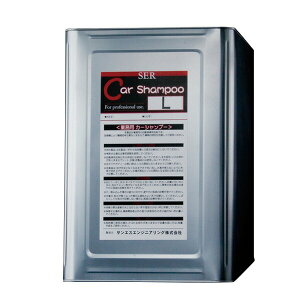 ƖpJ[Vv[L  p  t TGXGWjAO IK s