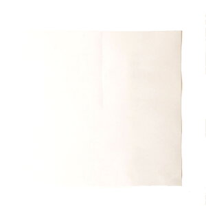 2500 300p P P 80g  553282 4570123992170 300×300mm uhE X ԂǂpP  s
