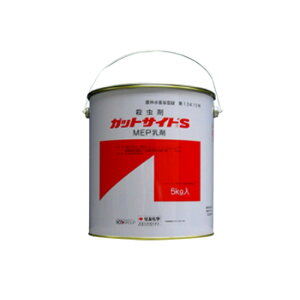 KbgTChS 1kg ZFw ʎ̐EQh Vf s Y