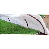 【3/31までエントリーで最大100%Pバック】健苗シート 幅270cm×長さ50m 低発泡PEシート 水稲育苗用保温シ…