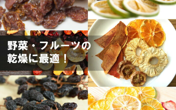 楽天市場】食品乾燥機 ドラッピーmini 100V 家庭用 業務用 DSJ-mini 