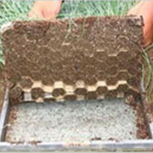 300 lg}[ 2 cp ~~ 277×577mm [ jbe lg}[II ^S DZ