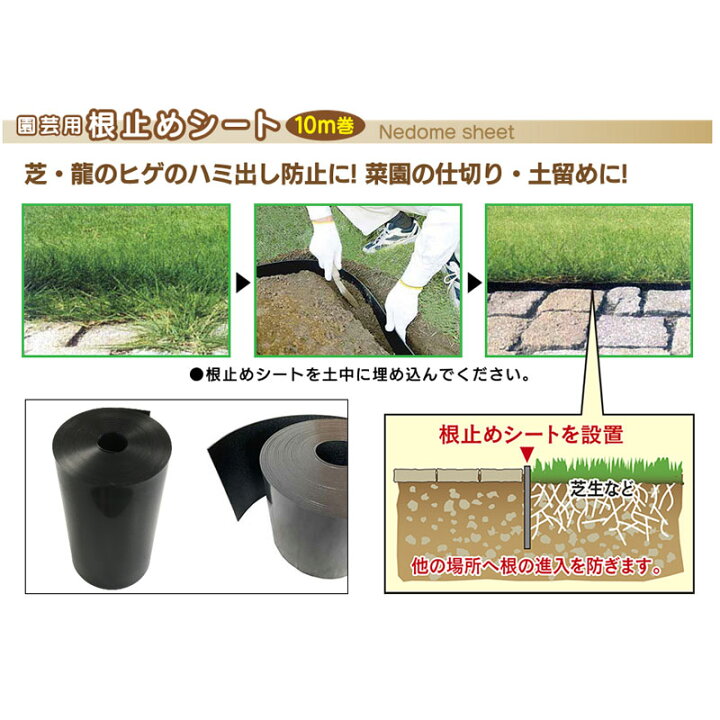 楽天市場】\今、売れてます!/ 根止めシート 幅30cm×長さ10m 厚さ2mm 根止め シート 根どめ 芝止め ストッパー 芝 芝生 園芸 庭 ガーデニング 花壇 仕切り 境界線 エ1 Z : 農業用品販売のプラスワイズ 楽天市場】\今、売れてます!/ 根止めシート 幅30cm×長さ10m 厚さ2mm 根止め シート 根どめ 芝止め ストッパー 芝 芝生 園芸 庭 ガーデニング 花壇 仕切り 境界線 エ1 Z : 農業用品販売のプラスワイズ
