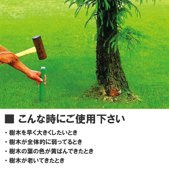 楽天市場 グリーンパイル ミニ 75本入 業務用 打込み肥料 肥料 栄養 養分 活力剤 樹木 庭木 植木 果樹 園芸 ガーデニング 人気 おすすめ ジェイカムアグリ タ種 Dz Dw 農業用品販売のプラスワイズ