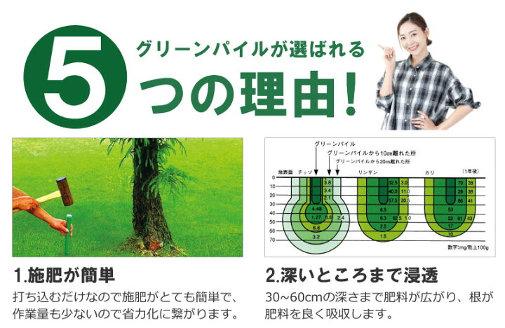 楽天市場 グリーンパイル ミニ 75本入 業務用 打込み肥料 肥料 栄養 養分 活力剤 樹木 庭木 植木 果樹 園芸 ガーデニング 人気 おすすめ ジェイカムアグリ タ種 Dzdw 農業用品販売のプラスワイズ