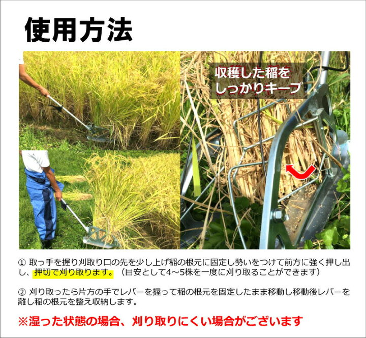 楽天市場】【7/1〜最大100%Pバック抽選で要エントリー】10本 かり 