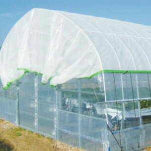 3{ [ nEXp ՔMEՌlbg zCg50 Ռ45`50% 1m×100m ^LC ΍  ^S s