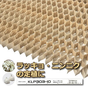 gps cs KLP303-10 75 ()  LP `F[|bg 10cm 264 傤 ɂɂ  klp303-10 jbe {[ؐ ^S D