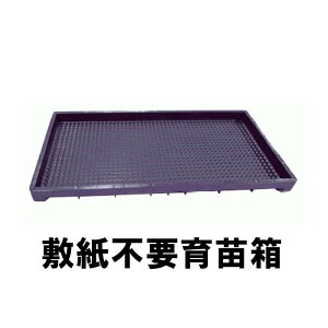 20枚 1034穴 敷紙不要 水稲 育苗箱 クリスタルカット 保水タイプ 水稲栽培 育苗 稲苗 稲作 用 苗箱 安全興業 個人宅配送不可 代引不可