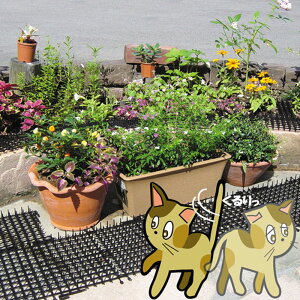 _V[g 235mm×340mm×18mm 10 rj[ TD