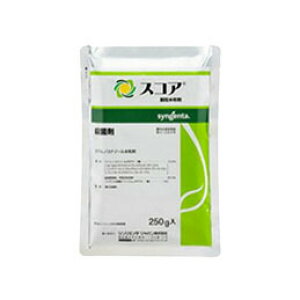 XRAa 250g Eۍ _ VWF^ Vf s Y