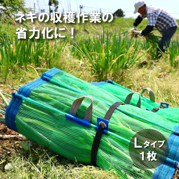 楽天市場】【4/30までエントリーで最大100%Pバック】1枚 ネギマキ 