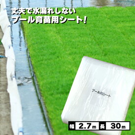 【6/1〜最大100%Pバック抽選で要エントリー】丈夫で水漏れしない プール育苗シート 遮水シート 厚さ0.25mm×幅270cm×長さ30m プール育苗 プールシート 幅2.7m 厚手 遮水 プール育苗用 シート 水稲 苗 コMDZ