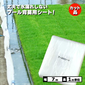 【100%ポイントバック エントリー＆抽選2/25まで】丈夫で水漏れしない カット品 プール育苗シート 遮水シート 厚さ0.25mm×幅700cm 1m単位カット品 プール育苗 プールシート 厚手 プール シート 水稲 苗 コMD