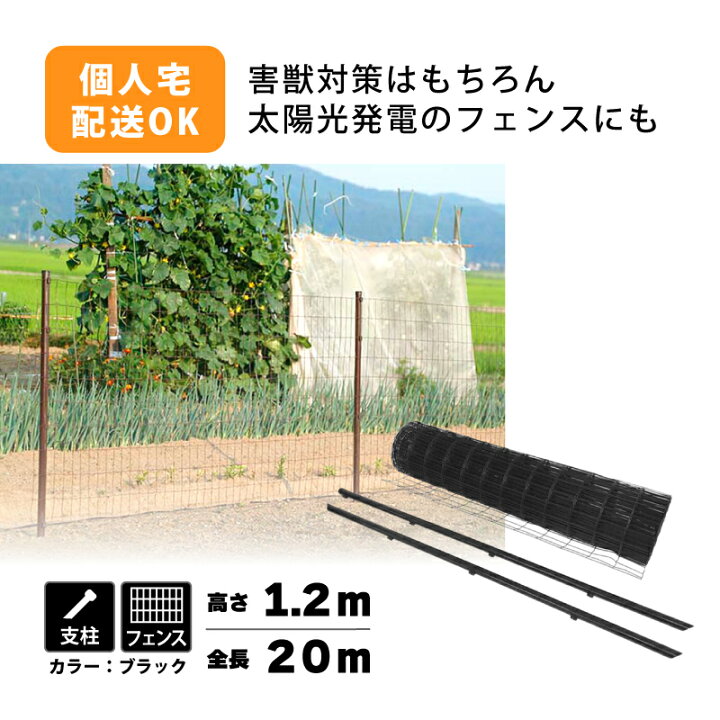 楽天市場】【4/30までエントリーで最大100%Pバック】黒 アニマル 