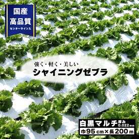 2本 国産 高品質 白黒マルチ 幅95cm×長200m×厚0.022mm シャイニングゼブラ 穴なし センターライン入 白黒マルチシート 畑 園芸 家庭菜園 地温 温度 抑制 レタス 白菜 トマト 大根 ジャガイモ きゅうり ナス 夏野菜 栽培 遮光 防草 雑草対策 プラスワイズ Z