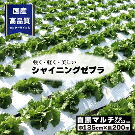 4本 国産 高品質 白黒マルチ 幅135cm×長200m×厚0.022mm シャイニングゼブラ 穴なし センターライン入 白黒マルチシート 畑 園芸 家庭菜園 地温 温度 抑制 レタス 白菜 トマト 大根 ジャガイモ きゅうり ナス 夏野菜 栽培 遮光 防草 雑草対策 プラスワイズ Z