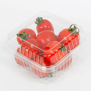 9000 ~jg}gpbN MF-100 (4H) 99mm×100mm×65mm ~j g}g   pbN n ^S kCs lzs s