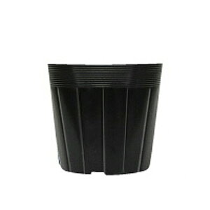 4800 P̃|bg c 9cm AC-90  AhEP~J TT lzs s