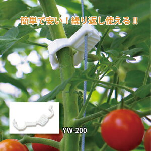 [Lb` 䂤Lb` 200 YW-200 V[ g}g iX  U ^S DZ