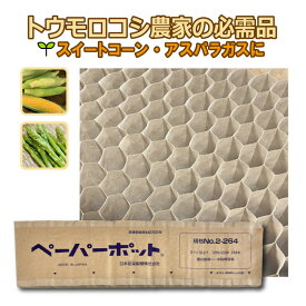 【9/1〜最大100%Pバック抽選で要エントリー】ペーパーポット No.2-264 55冊 (個) 264鉢 紙筒 播種 種まき 育苗 苗 スイートコーン アスパラガス 野菜 ニッテン タS 個人宅配送不可 代引不可