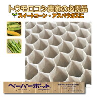 【8/1〜最大100%Pバック抽選で要エントリー】ペーパーポット No.2-264 (5H) 105冊 (個) 264鉢 紙筒 播種 …