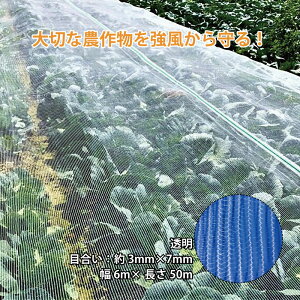 _CI ^Ct[Jo[  6m×50m 137 hlbg h h QJ΍ ׂ CmxbNX TT kCs lzs s