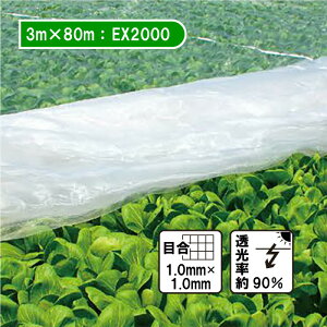 3m×80m x^| hTTlbg EX2000 䕗΍ QJ΍ h h {ChNX J{ lzs s