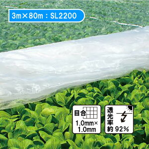 �y6/1�`�ő�100%P�o�b�N���I�ŗv�G���g���[�z3m×80m �x�^�|�� �h���T���T���l�b�g �\�t���C�g SL2200 �䕗�΍� �Q�������J�΍� �h�� �h�� ���{���C�h�N���X �J�{ �l��z���s�� ����s��