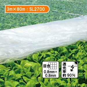 �y6/1�`�ő�100%P�o�b�N���I�ŗv�G���g���[�z3m×80m �x�^�|�� �h���T���T���l�b�g �\�t���C�g SL2700 �䕗�΍� �Q�������J�΍� �h�� �h�� ���{���C�h�N���X �J�{ �l��z���s�� ����s��