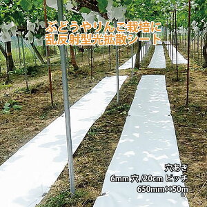 Ռlbg ĂĂ LE 650mm×50m 6mm 20cmsb`   ˎ V[g JX ANCI V TT s