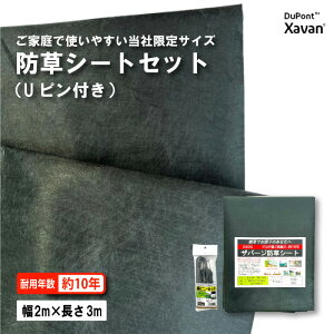 hV[g Zbg Uo[ 240G O[ 2m×3m Us10{t 10N ϋv Ő   Gh~ G΍ G}  ϋv O[tB[h DZ