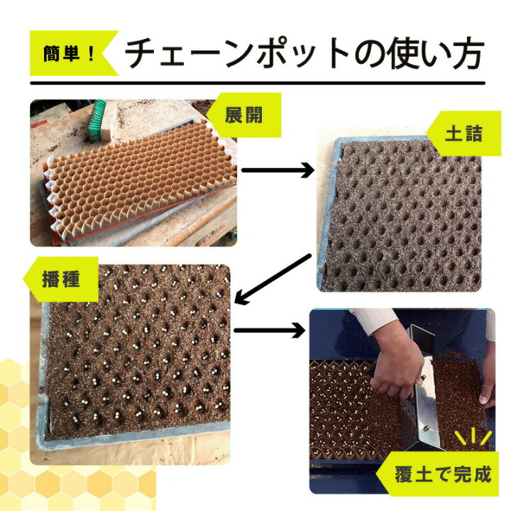 楽天市場】チェーンポット CP303 1冊 (単品) 株間5cm 264鉢 播種  