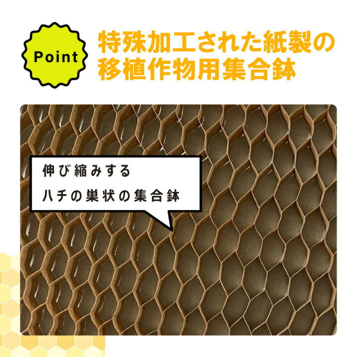 楽天市場】チェーンポット CP303 1冊 (単品) 株間5cm 264鉢 播種 