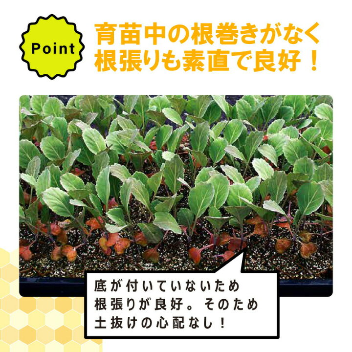 楽天市場】チェーンポット CP303 1冊 (単品) 株間5cm 264鉢 播種 