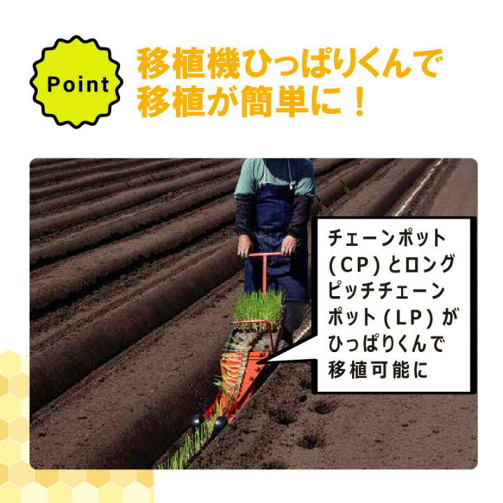 楽天市場】【4/30までエントリーで最大100%Pバック】チェーンポット 