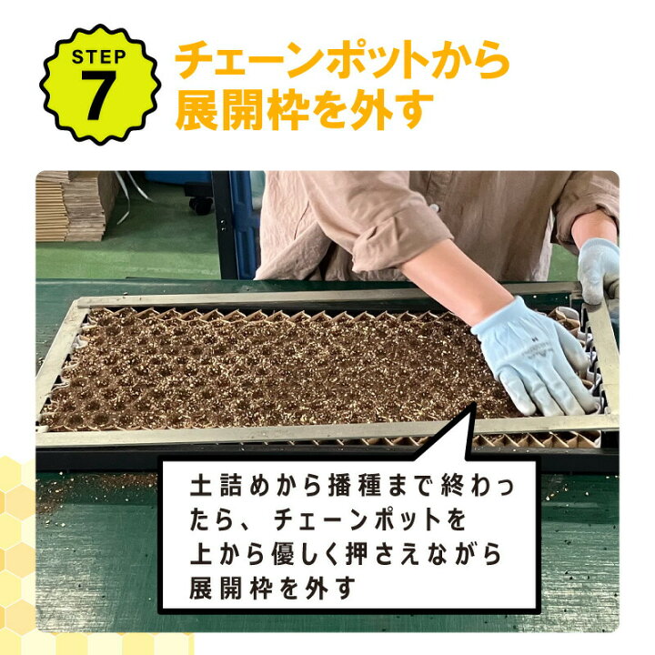 楽天市場】【4/30までエントリーで最大100%Pバック】播種5点セット 