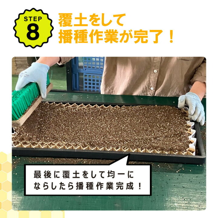 楽天市場】【4/30までエントリーで最大100%Pバック】播種5点セット 