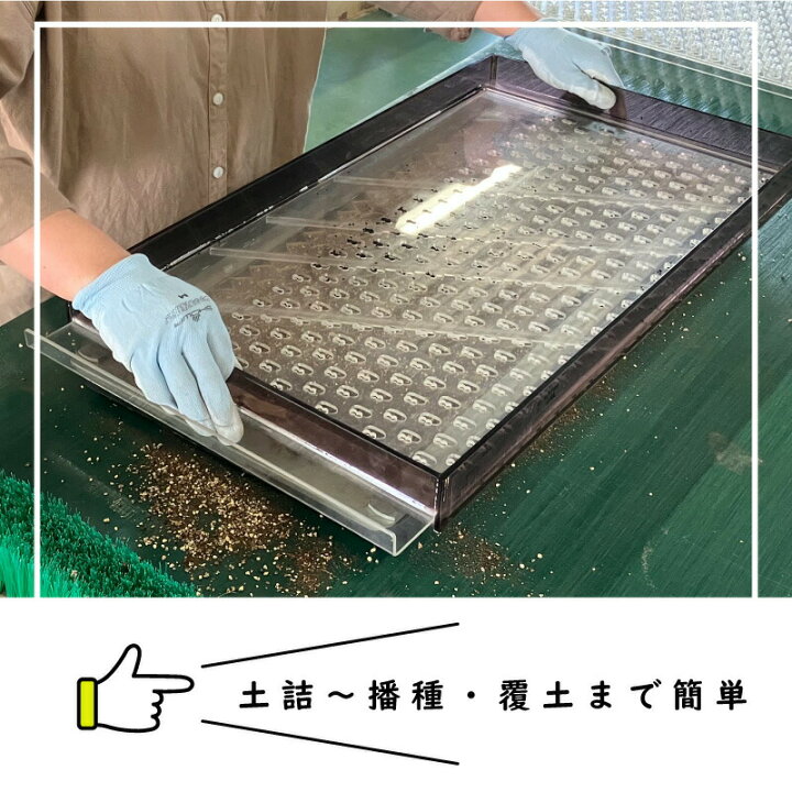 楽天市場】【4/30までエントリーで最大100%Pバック】播種5点セット 