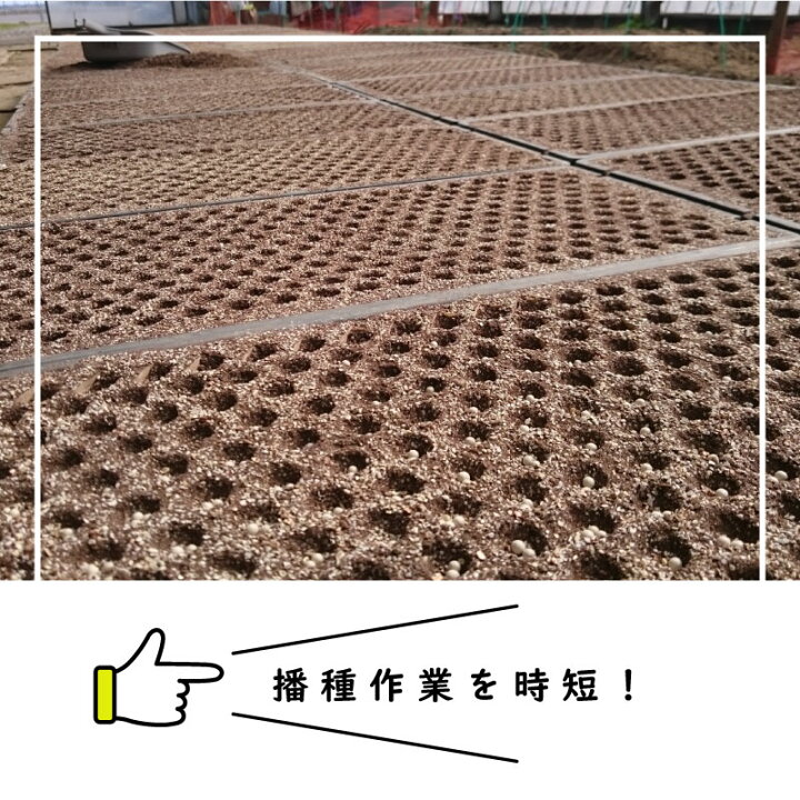 楽天市場】【4/30までエントリーで最大100%Pバック】播種5点セット 