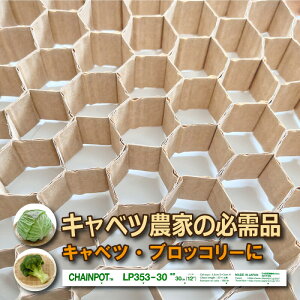 LP`F[|bg LP353-30 1 (Pi) 30cm 190 d ܂ c Lxc ubR[ lp353-30 `F[|bg  jbe {[ؐ ^SZ