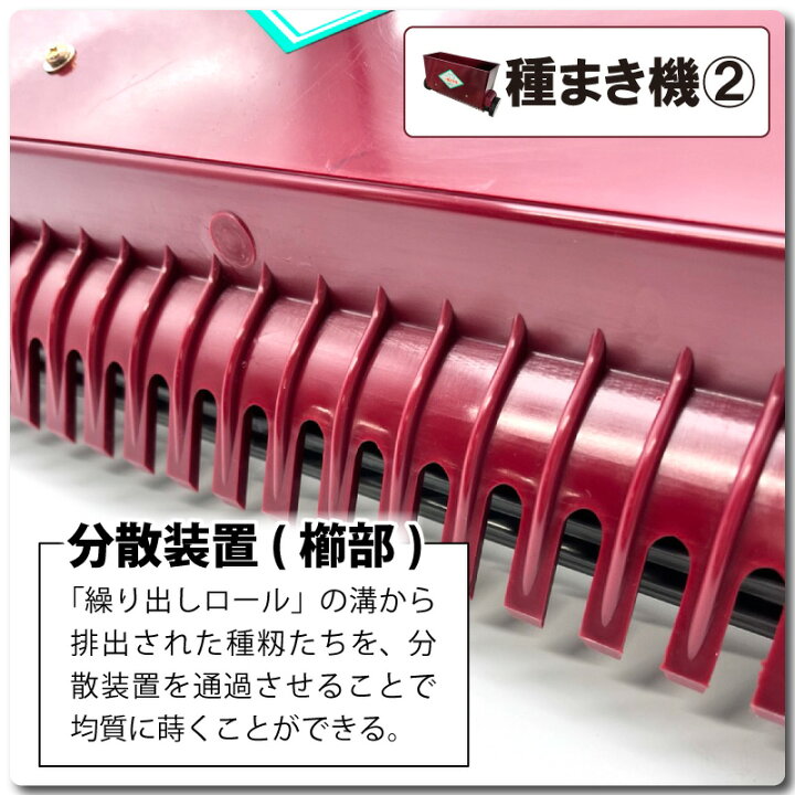 楽天市場】【4/30までエントリーで最大100%Pバック】セット みくに式 