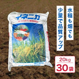 【100%ポイントバック エントリー＆抽選2/25まで】イネニカ 20kg 30袋セット 耐倒状性 水稲 稲作 稲 玉ねぎ タマネギ ネギ 野菜 土壌改良 肥料 覆土 追肥 ケイカル ケイ酸カルシウム K物D 個人宅配送不可
