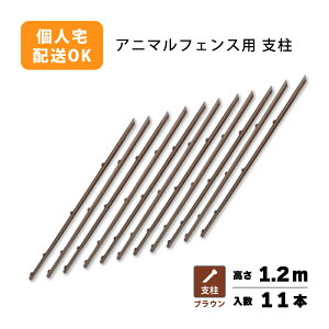 x̂  Aj}tFX 1.2mp x11{ uE iϑ΍ vXCY VN s BRF12