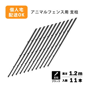 x̂  Aj}tFX 1.2mp x11{ ubN vXCY VN s BKF12