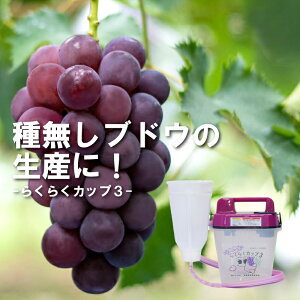 _Vi^ 炭炭Jbv3  Wx  { Ԃǂ  }XJbg Ȃ Wx @B Uz  NNJbv 쐻쏊 ^SDZ
