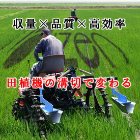 【3/31までエントリーで最大100%Pバック】田植機用溝切機 PDS-2 ヒッチ無 水田 溝切り 溝切機 美善 bizen 個人宅配送不可 代引不可