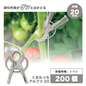 200 At@ 20 O[ DF A20-GY200 וRp UNbv U U U R Ђ Nbv g}g pvJ ͔| V[ ^S s