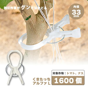 1600 (160×10) At@ L  AL-W160 R s` p  } s UNbv U U g}g iX ͔| V[ ^S s